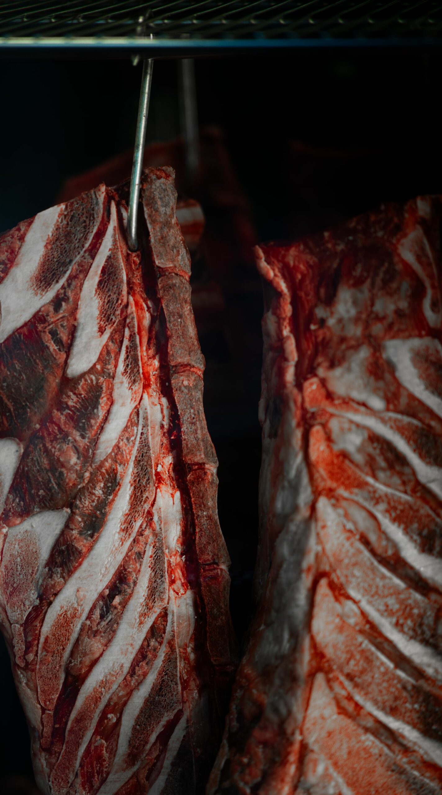 Pièces de bœuf suspendues en cave de maturation, croûte de séchage et gras de couverture